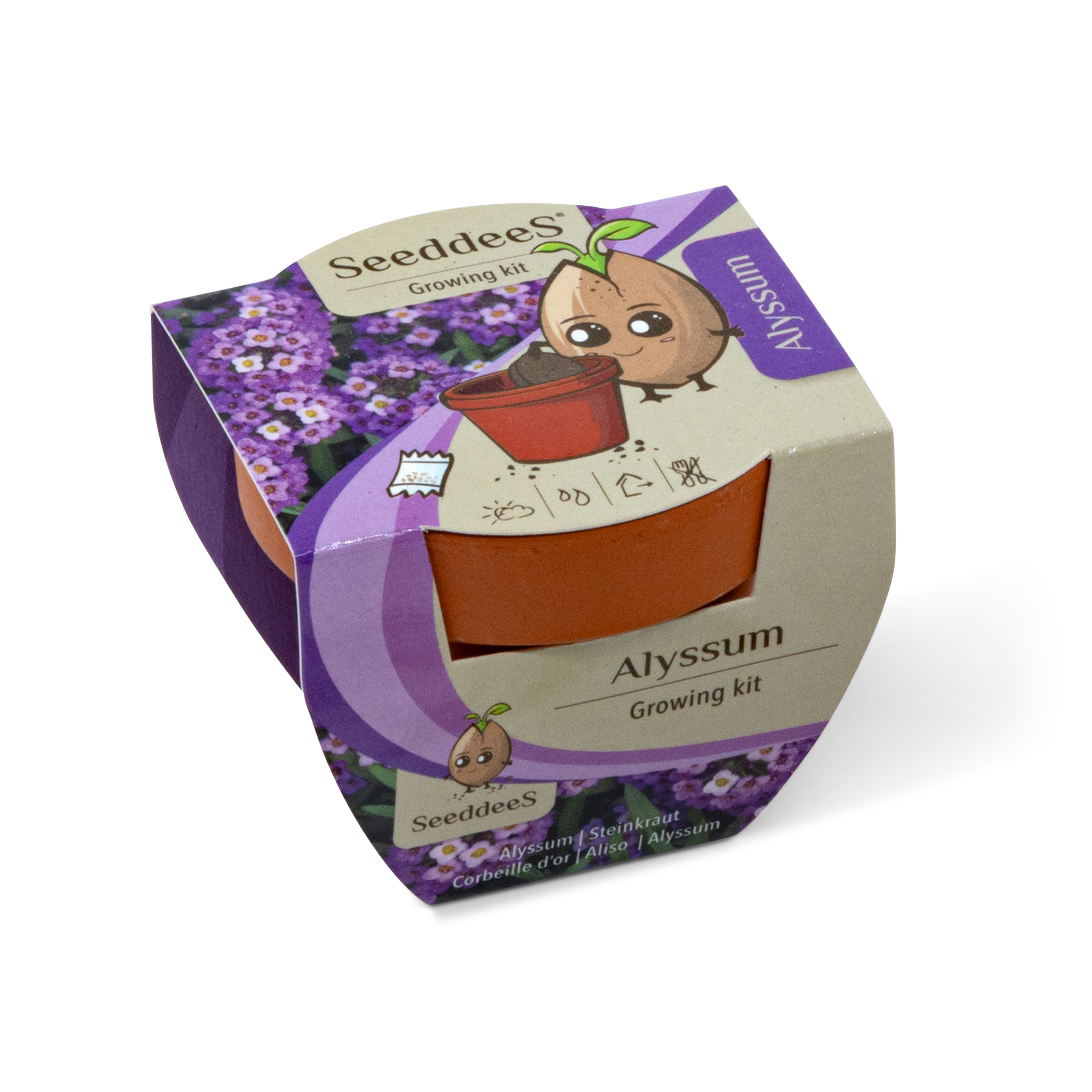 SeeddeeS kweekset terracotta pot - Alyssum